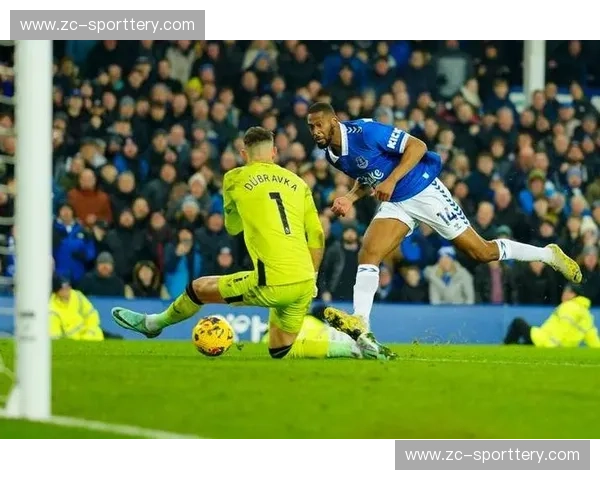 埃弗顿客场逆转纽卡斯尔 控球率劣势下展现高效反击 埃弗顿客场逆转纽卡斯尔 控球率劣势下展现高效反击